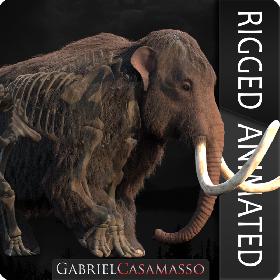 3D Mammuthus primigenius Anatomy Pack model